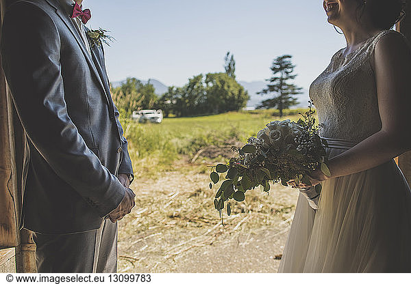 Mittelteil der Braut und des Bräutigams stehen sich Auge in Auge gegen Feld und Himmel