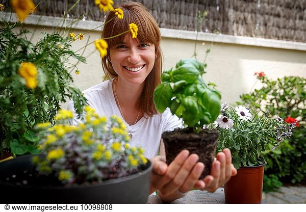 Mittlere erwachsene Frau hält Basilikumpflanze in hohlen Händen  lächelnd vor der Kamera