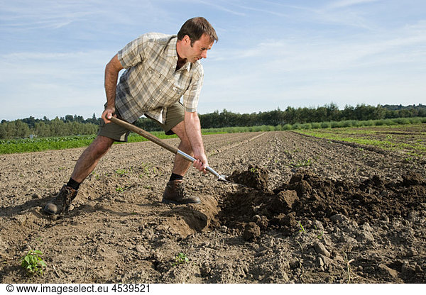 Mittlerer Erwachsener Mann beim Graben im Feld