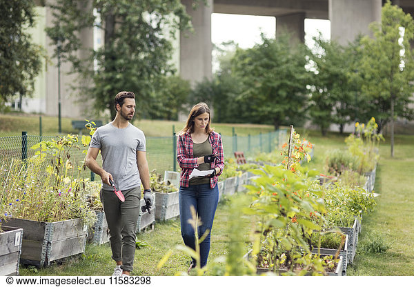 Mittleres erwachsenes Paar untersucht Pflanzen im Stadtgarten