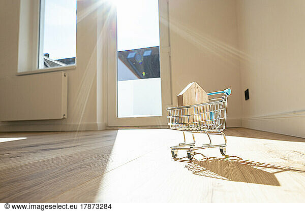 Model house in shopping cart on hardwood floor