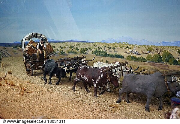 Model of an ox cart  Swakopmund Museum  Swakopmund  Republic of Namibia