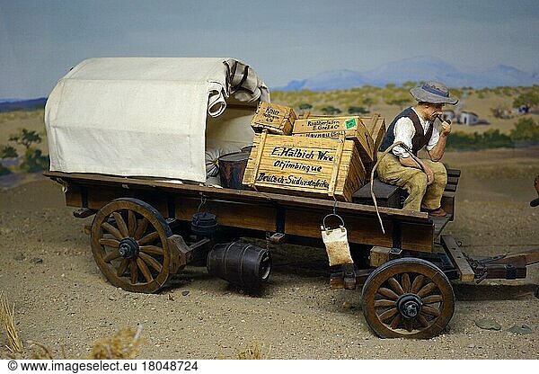 Model of an ox cart  Swakopmund Museum  Swakopmund  Republic of Namibia