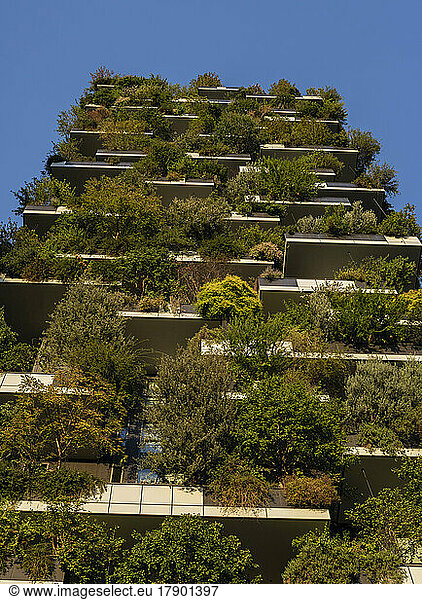 Modern apartment with lush vertical garden