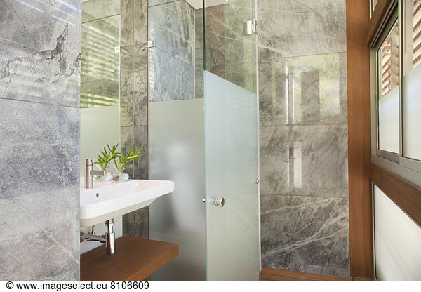 Modern bathroom with marble shower