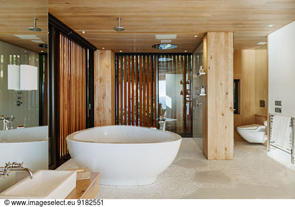 Modern bathroom with soaking tub