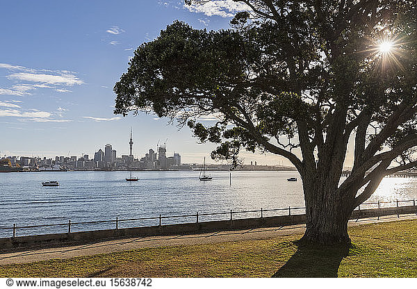 Modern buildings and Devonport by sea against sky in Auckland  New Zealand