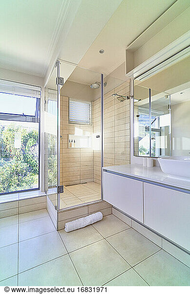 Modern home showcase interior bathroom shower