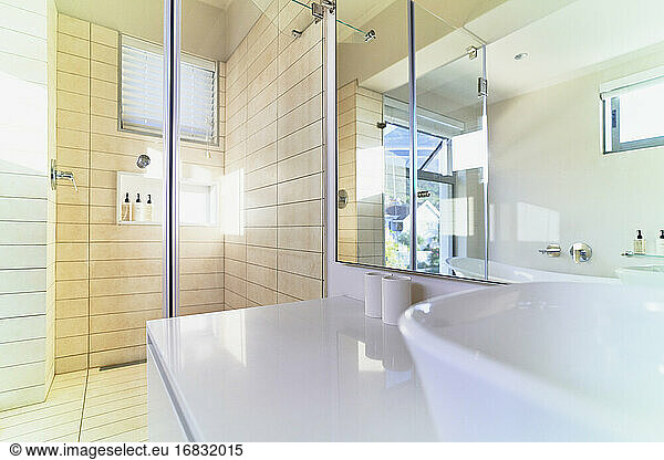 Modern home showcase interior bathroom shower