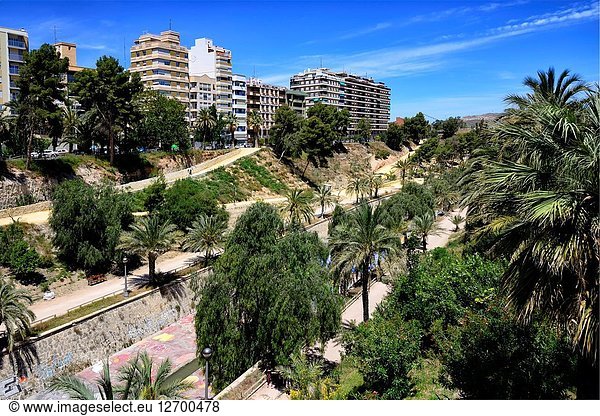 Modern part of Elche city on the bank of Vinalopo river  facing Palmeral - date palm orchards - designated by UNESCO as a World Heritage Site  Elche  Elx  Valencian Community  Spain  Europe