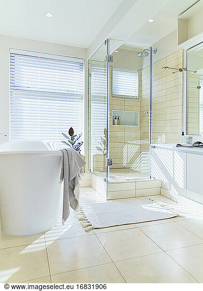 Modern sunny home showcase interior bathroom with soaking tub
