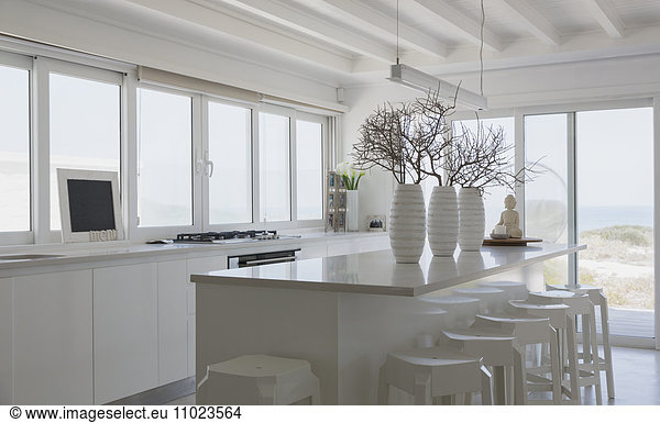 Modern white kitchen home showcase interior