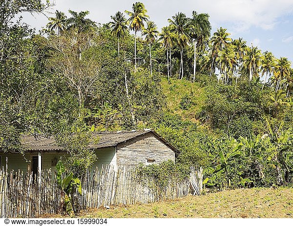 Modest rural dwelling in the lush countryside around Baracoa  Cuba.