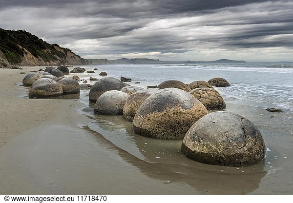 Moeraki Boulders  Runde Felsen am Strand  Küste  Moeraki  Region Otago  Südland  Neuseeland  Ozeanien