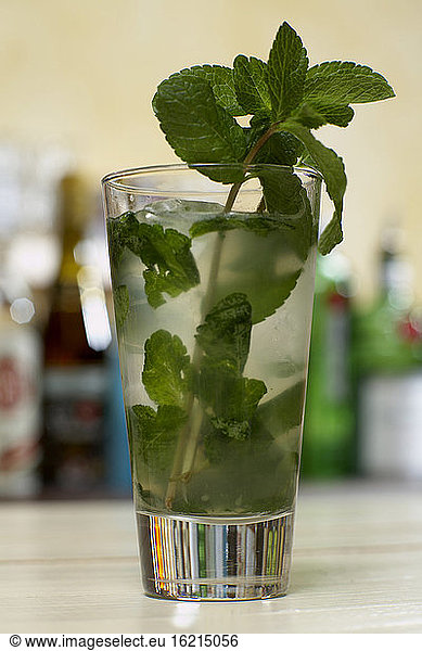 Mojito cocktail with mint  close-up.