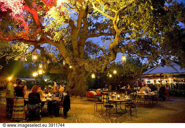Mojo restaurant at the Spier wine estate  open-air restaurant  Stellenbosch  Western Cape  South Africa  Africa