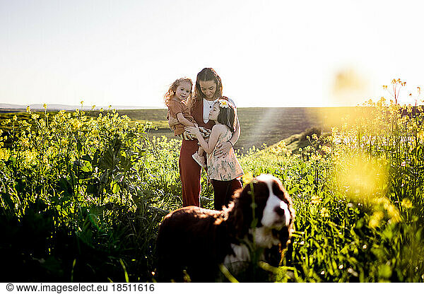 Mom & Daughters in Flower Field  Spaniel in Foreground in San Diego