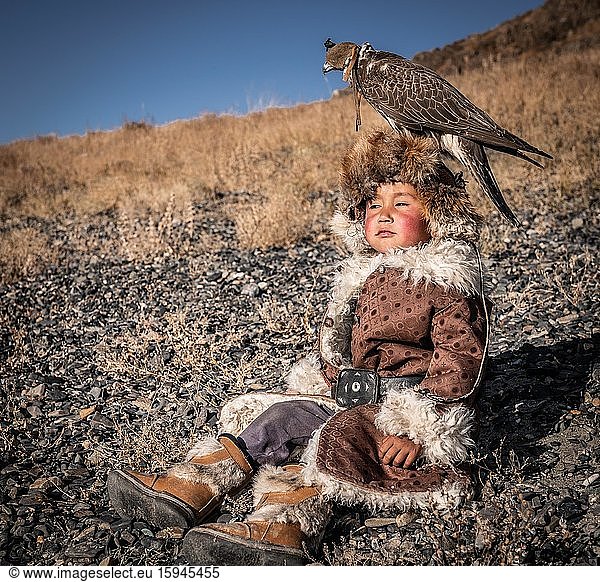 Mongolischer Falkenjäger  kleiner Junge posiert mit einem dressierten Falken auf dem Kopf  Provinz Bajan-Ölgii  Mongolei  Asien