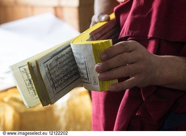 Monk showing some tibetan scriptures printed from wooden blocks in the monastery traditional printing temple  Gansu province  Labrang  China.