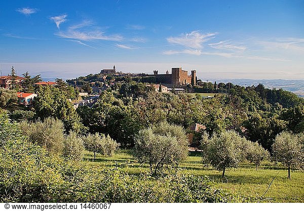 Montalcino  Val d'Orcia  UNESCO-Weltkulturerbe  Toskana  Italien