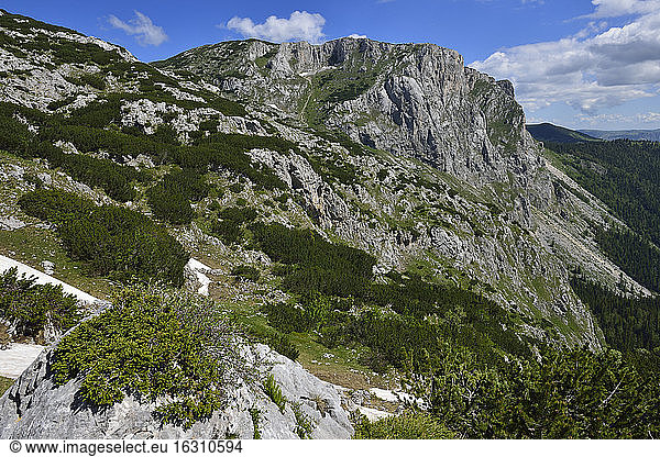 Montenegro  Crna Gora  Crvena Greda peak  Durmitor National Park