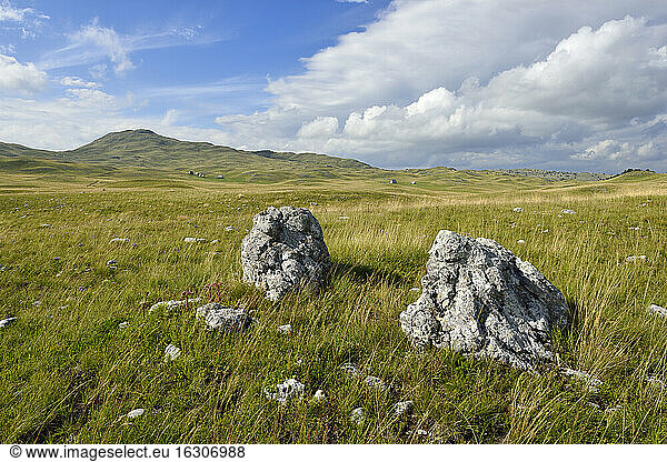 Montenegro  Crna Gora  Der Balkan  montane Steppe auf der Sinjavina- oder Sinjajevina-Hochebene  Durmitor-Nationalpark