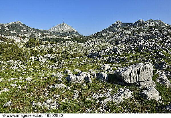 Montenegro  Crna Gora  Karst landscape at Lovcen National Park