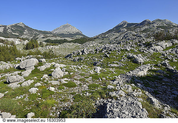 Montenegro  Crna Gora  Karst landscape at Lovcen National Park
