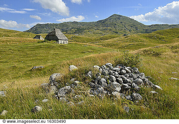 Montenegro  Der Balkan  Crna Gora  Hirtenhütte oder Savardak  montane Steppe auf der Sinjavina oder Sinjajevina-Hochebene  Durmitor-Nationalpark