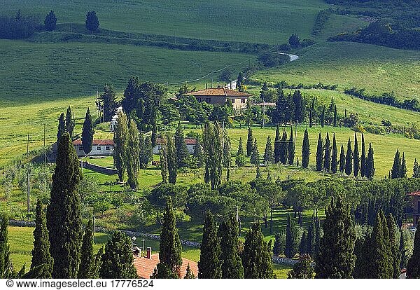 Montichiello  Pienza  Tuscany Landscape  Val d'Orcia  Orcia Valley  UNESCO world heritage site  Siena Province  Tuscany  Italy  Europe