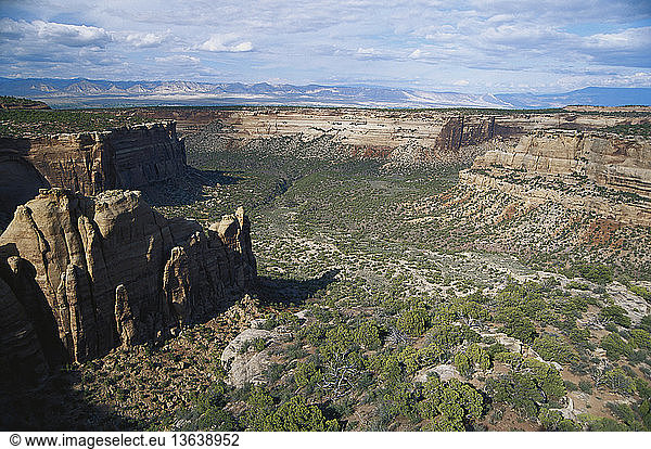 Monument Canyon in Colorado National Monument  Colorado  in late May.