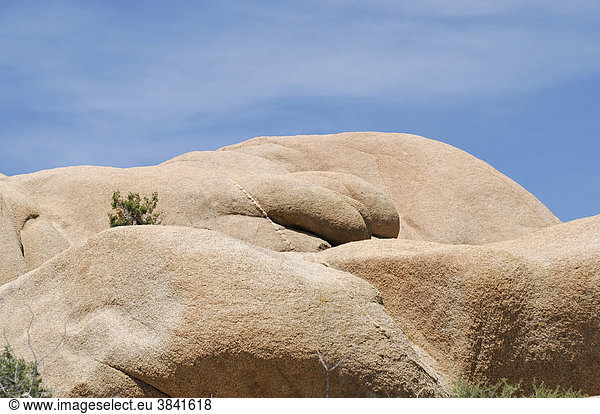Monzogranit-Formationen  Joshua Tree Nationalpark  Palm Desert  Südkalifornien  USA
