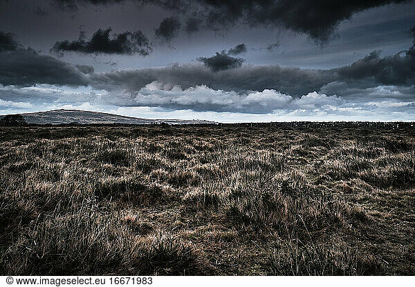 Moorland  Wild Grassland  Cloudy Day