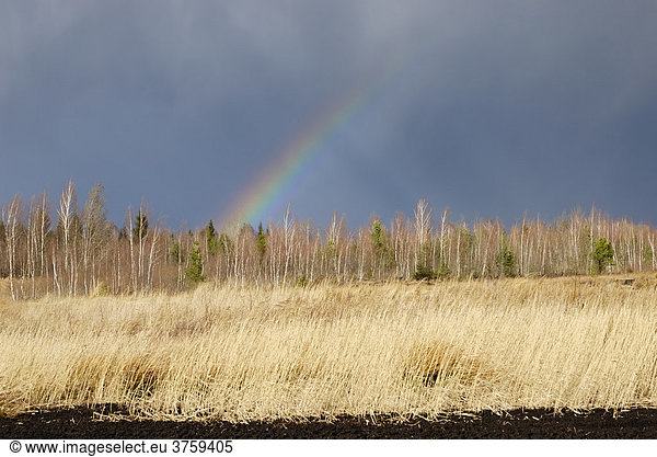 Moorlandschaft im Voralpenland  hinten Wolkenwand mit Regenbogen  Nicklheim  Bayern Deutschland Europa