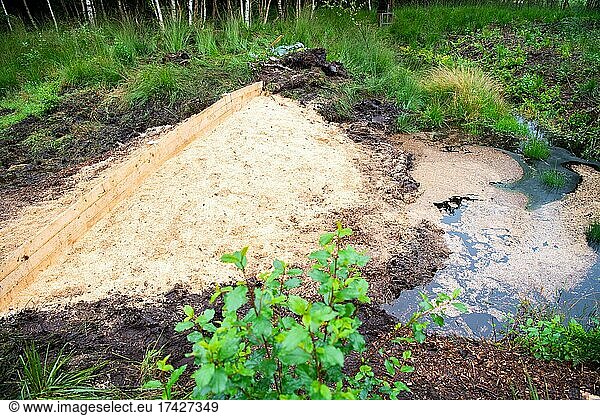 Moorschutz ist Klimaschutz  Dammbau in der Bockholter Dose im Emsland  Verschluss von Entwässerungsgaben zur Wiedervernässung der Moorfläche  Niedersachsen  Deutschland  Europa