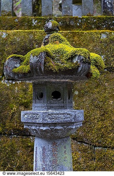 Moosbedeckte Steinlaterne  Nikkozan Rinnoji-Tempel  Buddhistischer Tempel  Schreine und Tempel von Nikko  Nikko  Japan  Asien