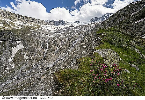 Moraine landscape of the Waxeggkees glacier  Berlin Höhenweg  Zillertal Alps  Zillertal  Tyrol  Austria  Europe