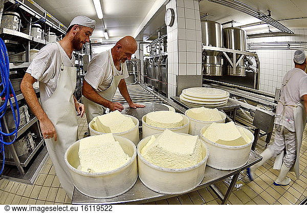 Morbier cheese making  Cheese factory  Damprichard  Doubs  France