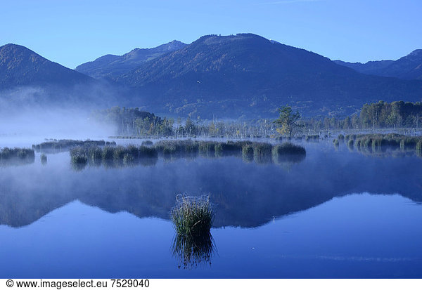 Morgennebel über Moorgebiet  Voralpenland  Grundbeckenmoor  Nicklheim  Bayern  Deutschland  Europa