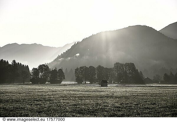 Morning atmosphere  Bavarian Alps  Chiemgau  Bavaria