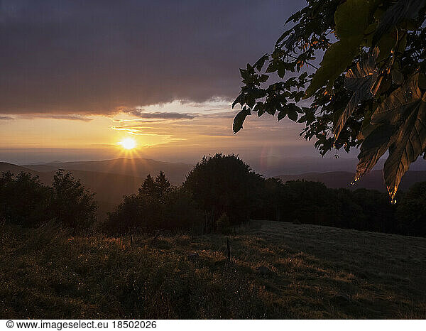 Morning dew and mountain landscape during sunrise  Stosswihr  Vosges  France