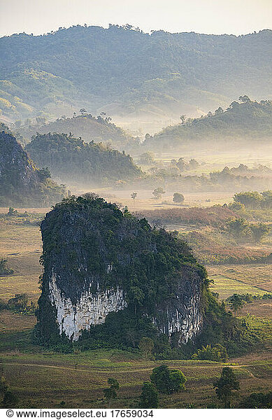 morning dew at beautiful valley in North Thailand