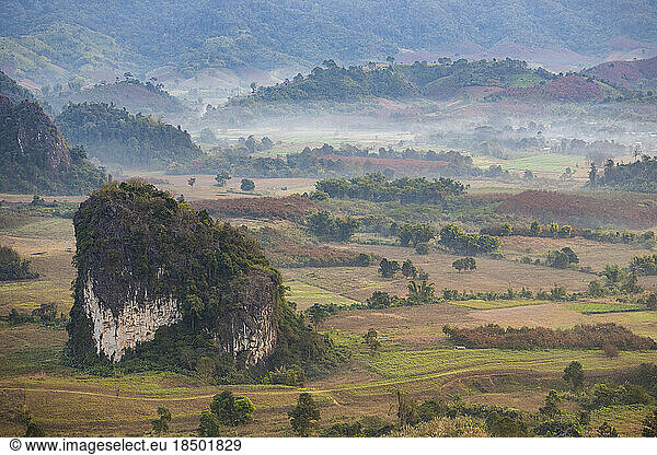 Morning dew in a valley in Northern Thailand