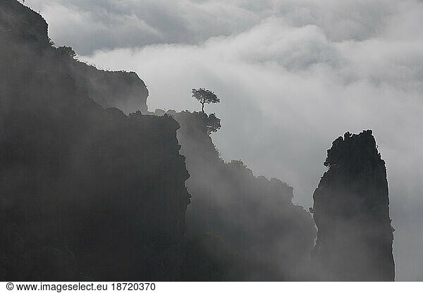 Morning fog blankets the Sierra de Grazalema National Park near Grazalema  Cadiz Province  Andalusia  Spain.