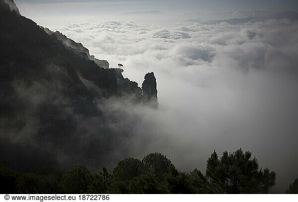 Morning fog blankets the Sierra de Grazalema National Park near Grazalema  Cadiz Province  Andalusia  Spain.