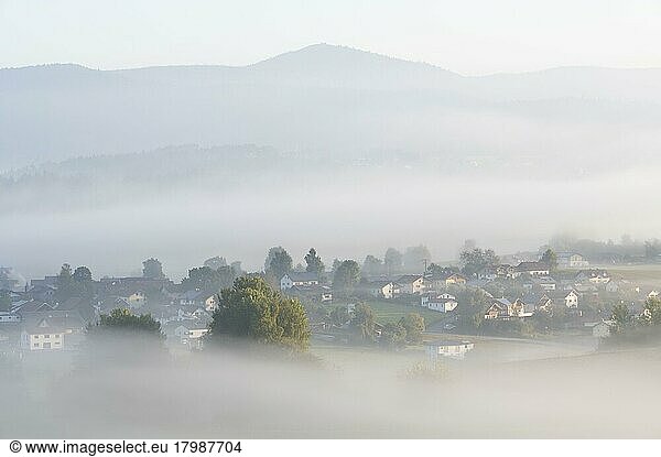 Morning fog in the Bavarian Forest  in the background the peak of the Lusen  Bavaria  Germany  Europe
