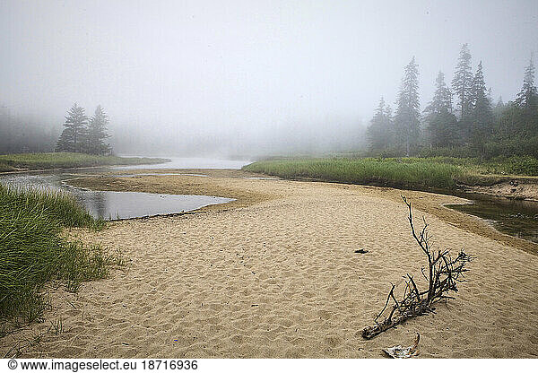Morning fog on a beach in Acadia National Park