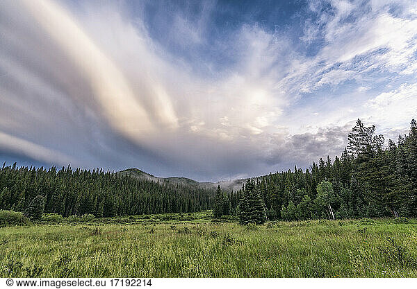 Morning landscape in the Mount Evans Wilderness  Colorado