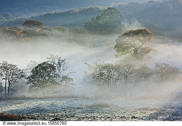 morning mist in North Wales