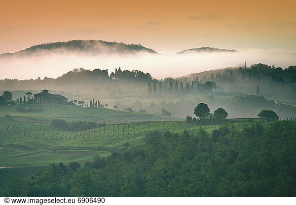 Morning Mist over Landscape Tuscany  Italy